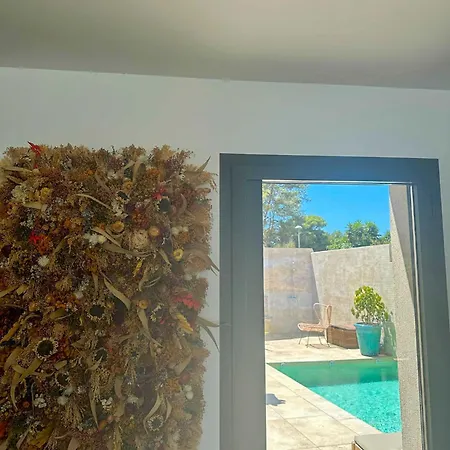 Sublime Vue Pieds Dans L'eau * Monticello